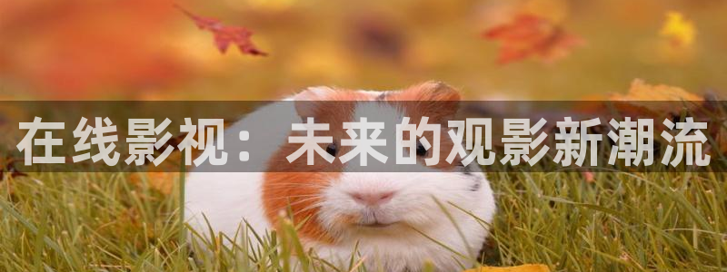 樱桃免费版在线观看